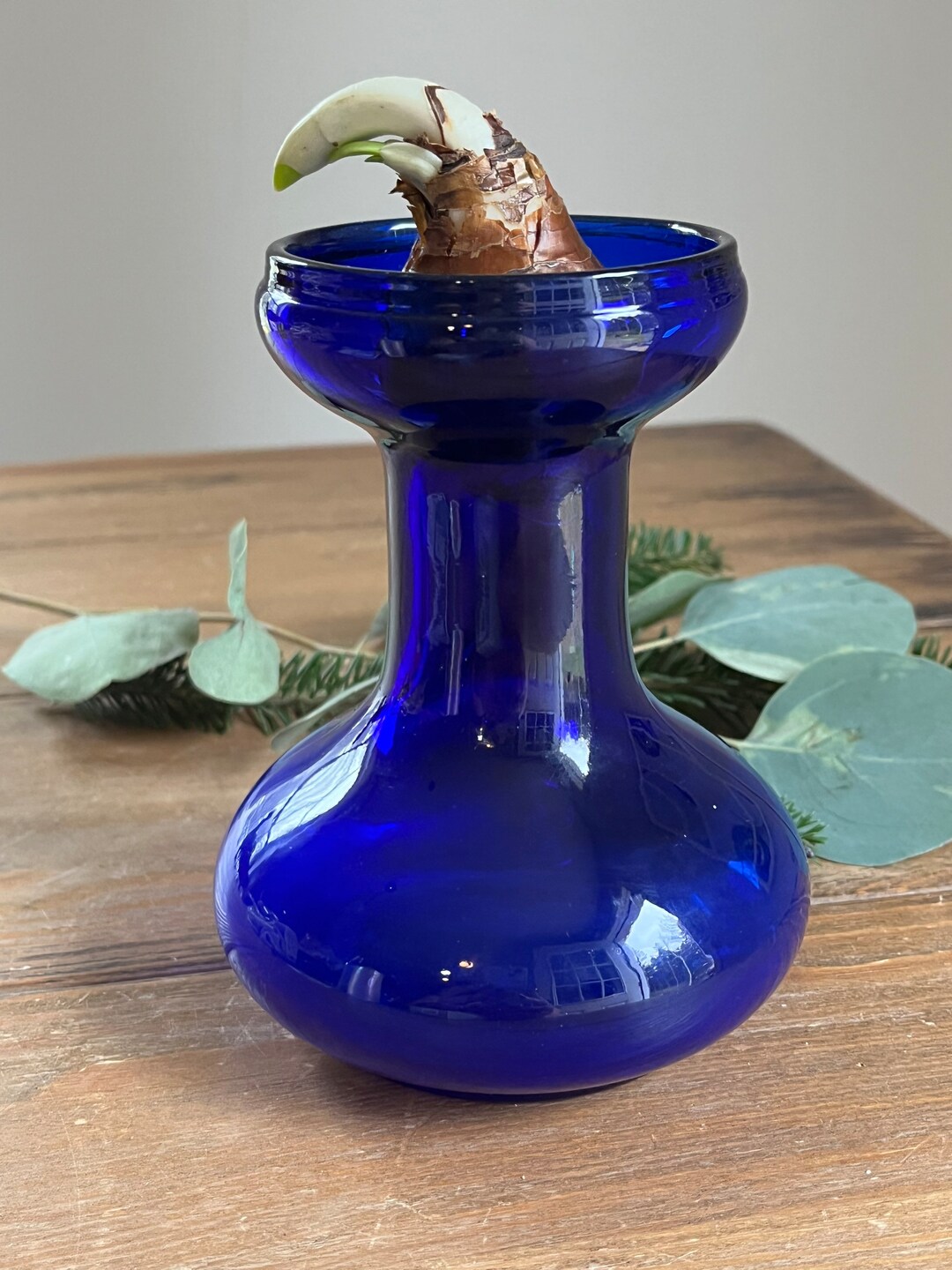 Antique Cobalt Hyacinth Bulb Vaseantique Glass Bulb Etsy