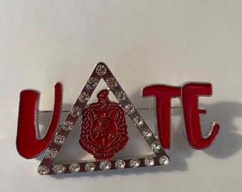 Delta Sigma Theta Social Action Vote Pin BOGO