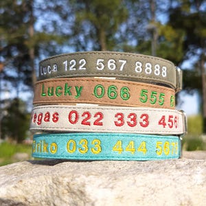 Gepersonaliseerde halsband, op maat gemaakte halsband voor huisdieren, geborduurde halsband met hondnaam, meerdere kleuren halsband, hondenhalsband set, cadeau voor hond