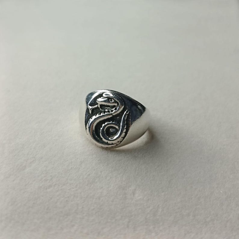 Pode incluir: Um anel de prata com um design detalhado de cobra. O anel apresenta uma face oval em relevo com a cabe&ccedil;a e o corpo da cobra intrincadamente esculpidos. O corpo da cobra enrola-se, criando uma joia &uacute;nica e atraente.