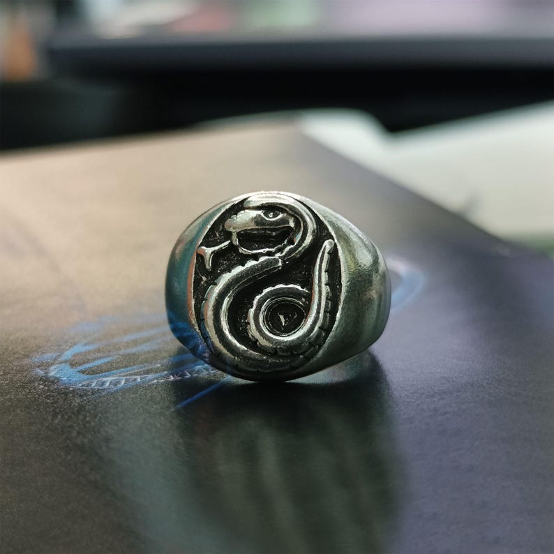 Pode incluir: Um anel de prata com um design detalhado de cobra. A cobra est&aacute; enrolada dentro de uma forma oval, com a cabe&ccedil;a e a cauda vis&iacute;veis. O anel tem um acabamento polido e est&aacute; sobre um fundo escuro.