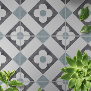 May include: A white and blue patterned tile floor with a geometric design. The floor is decorated with various green succulents in pots.