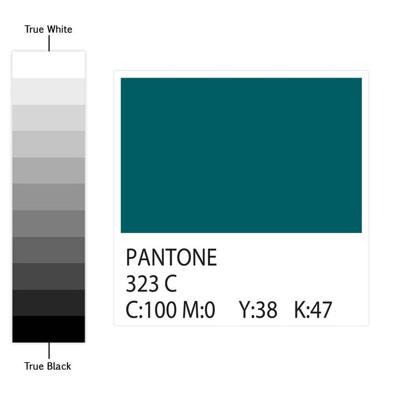 May include: A rectangular color swatch of Pantone 323 C, a deep teal shade, with the text PANTONE 323 C, C:100 M:0 Y:38 K:47. Beside it is a vertical grayscale gradient bar labeled True White at the top and True Black at the bottom.