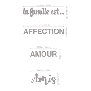 May include: A set of four gray wall decals with French words and measurements in inches and centimeters. The words are "la famille est...", "AFFECTION", "AMOUR", and "Amis".