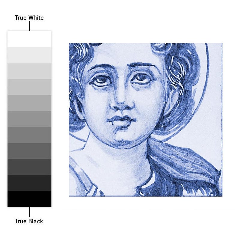 Op de afbeelding: Een vierkante tegel met een blauw-witte monochrome illustratie van een gezicht met golvend haar en een aureool. Links wordt een verticale grijswaardenbalk weergegeven, gelabeld met True White aan de bovenkant en True Black aan de onderkant.