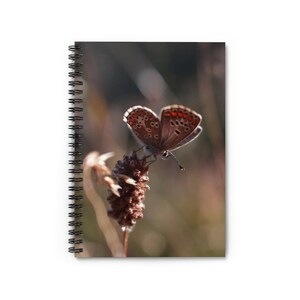Spiral Notebook - Ruled Line. Spiral notebook with butterfly print. A special gift. Original design. Home decor.