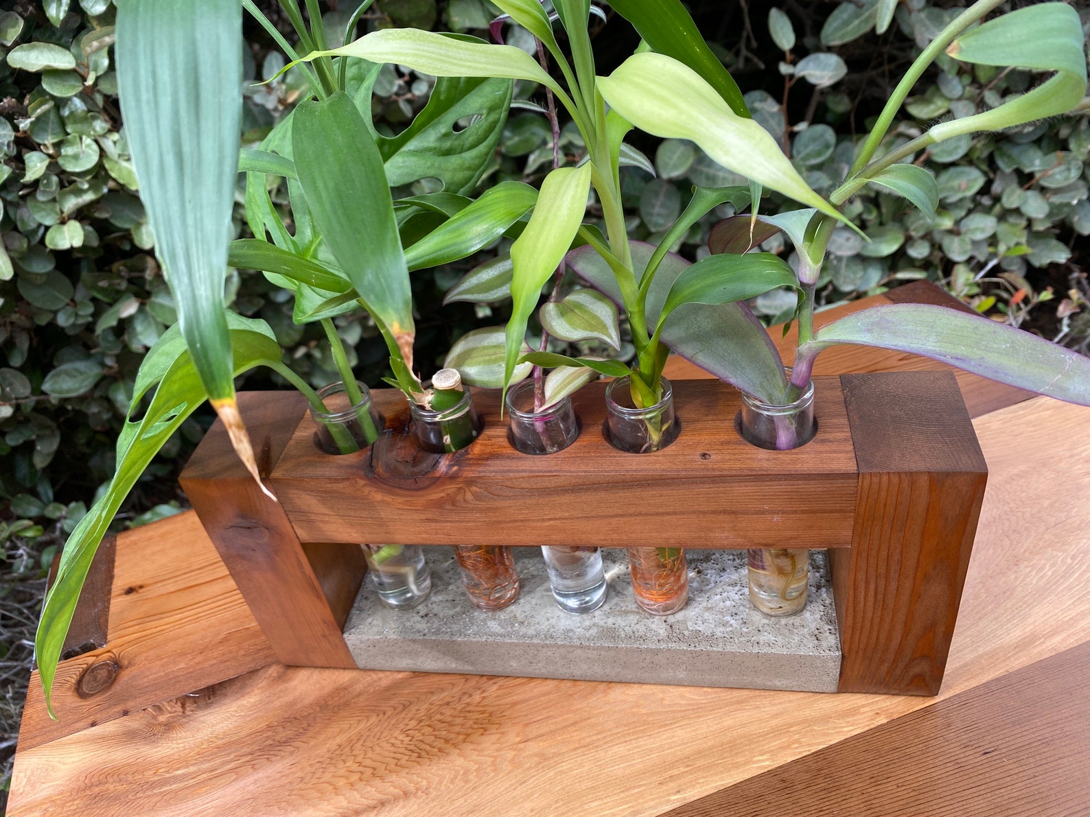 Propagation Station Wooden Propagation Glass Vials Etsy