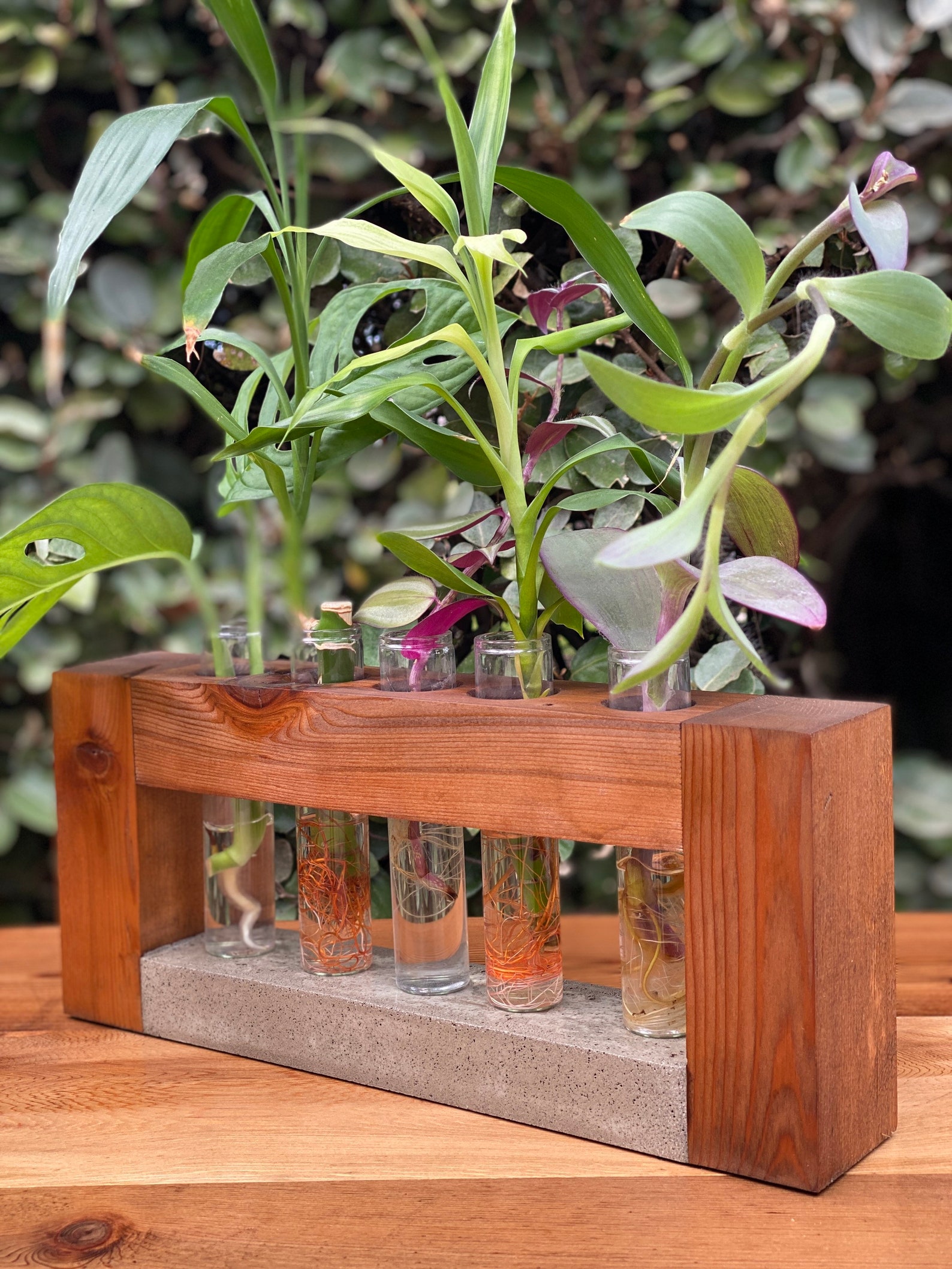 Propagation Station Wooden Propagation Glass Vials Etsy