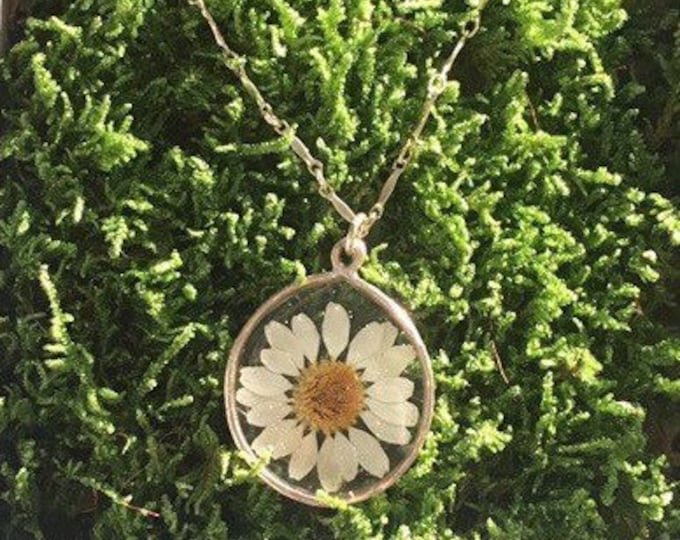Natural White Daisy , Feverfew dried flower set in Ice Resin and handcrafted 14k gold fill pendant necklace . Free shipping / gift packaging