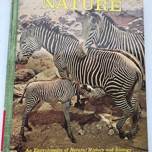 May include: A book titled "Illustrated Library of NATURE" with a picture of three zebras on the cover. The book is an encyclopedia of natural history and ecology.