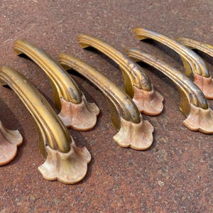 May include: A collection of seven antique brass door handles. Each handle has a curved, ornate design with a gold finish and a light pink base. The handles are arranged on a textured, reddish-brown surface.