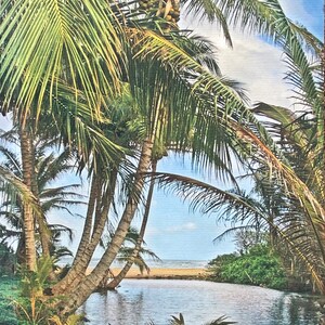 May include: A book cover with the title "No Worries Hawaii" in yellow letters on a black background. The cover features a photograph of a tropical beach scene with palm trees and a lagoon.