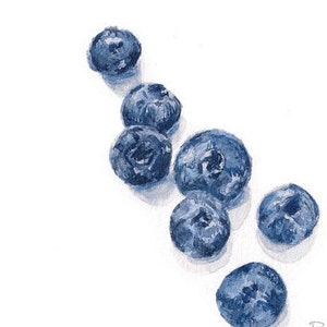 Blueberry Art Blueberry Kitchen Wall Art Watercolor Blueberry Print Blueberry Illustration Nursery Print Daycare Art Food Print image 5