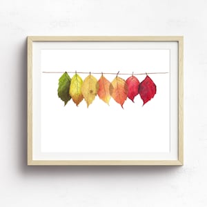 minimalist fall harvest decor fall leaves mantle decor rustic fall wall art colorful fall leaves watercolor painting over sofa art image 2