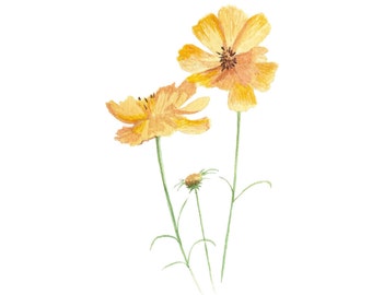 Wildflower Art Print - Botanical Illustration Art - Flower Illustration - Floral Art - Yellow Home Decor - Botanical Print - Nursery Decor