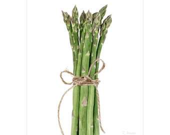 Bunch of asparagus watercolor art print