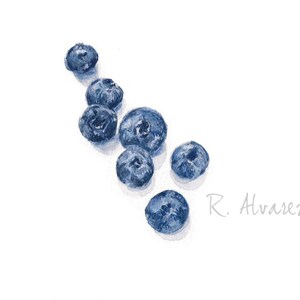 Blueberry Art Blueberry Kitchen Wall Art Watercolor Blueberry Print Blueberry Illustration Nursery Print Daycare Art Food Print image 2