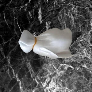 PUMPKIN FACE Jack O Lantern HALLOWEEN Butt Plug great gag gift image 4