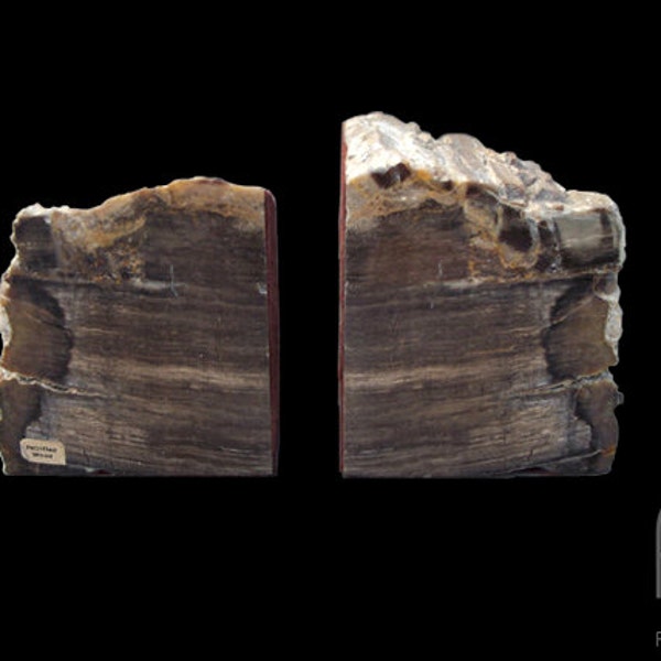 Beautiful Rich Brown Petrified Wood Bookends
