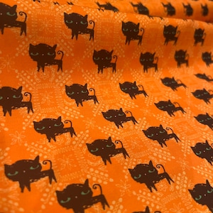 Feestelijke katten Zwarte kattenstof Halloweenstof Halloween zwarte katten herfstvakantiestof oranje pompoenkleur