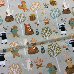 Woodland Wildlife