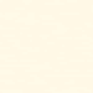 May include: A plain white background.