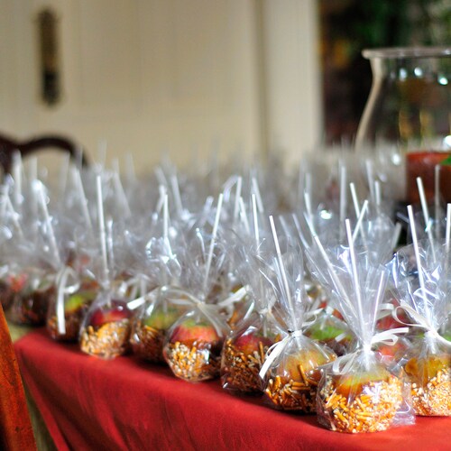 100 CANDY APPLE BAGS 4x2x8 for Small Sized Etsy