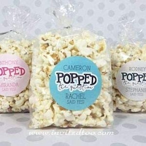 100 POPCORN BAGS 4&quot;x2&quot;x8&quot;  Clear Gusseted Poly Bags Wholesale - Ready to Ship - BPA Free