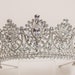 see more listings in the Crystal Tiaras/Swarovski section