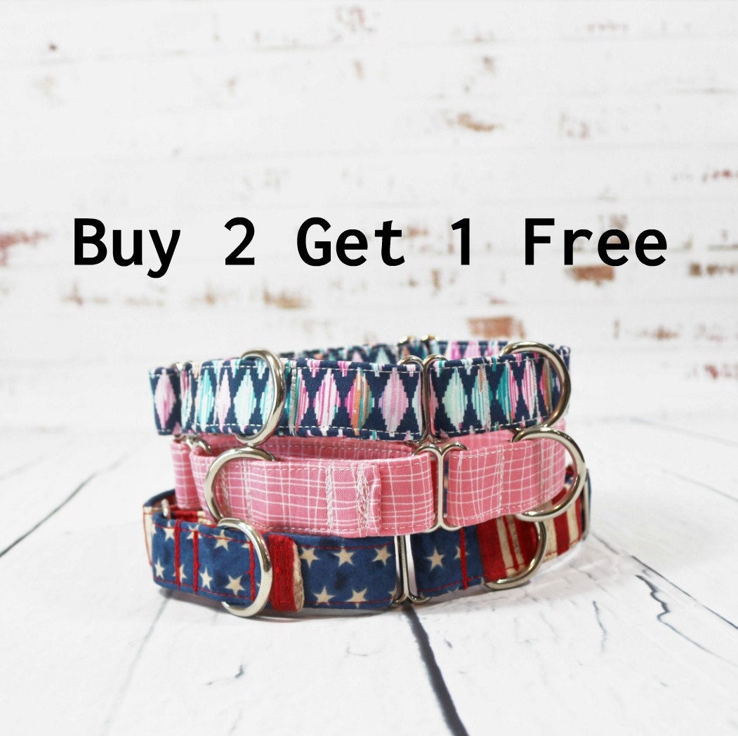 Buy 2 Get 1 Free Dog Collars Multiple Dog Package Upgrade