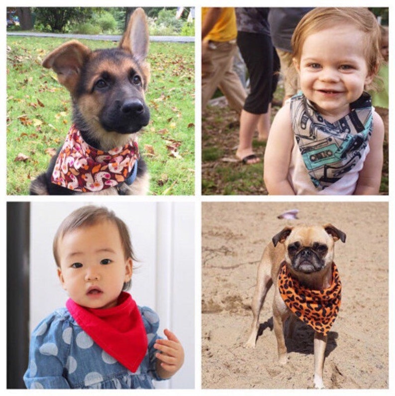 XXS-XXL Dr Seuss Characters Bandana