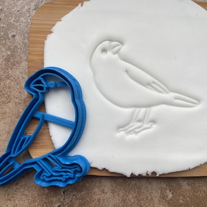 Canary Bird cookie cutter, biscuit songbird, wildlife, baking accessories, icing, decorating, fondant, nature