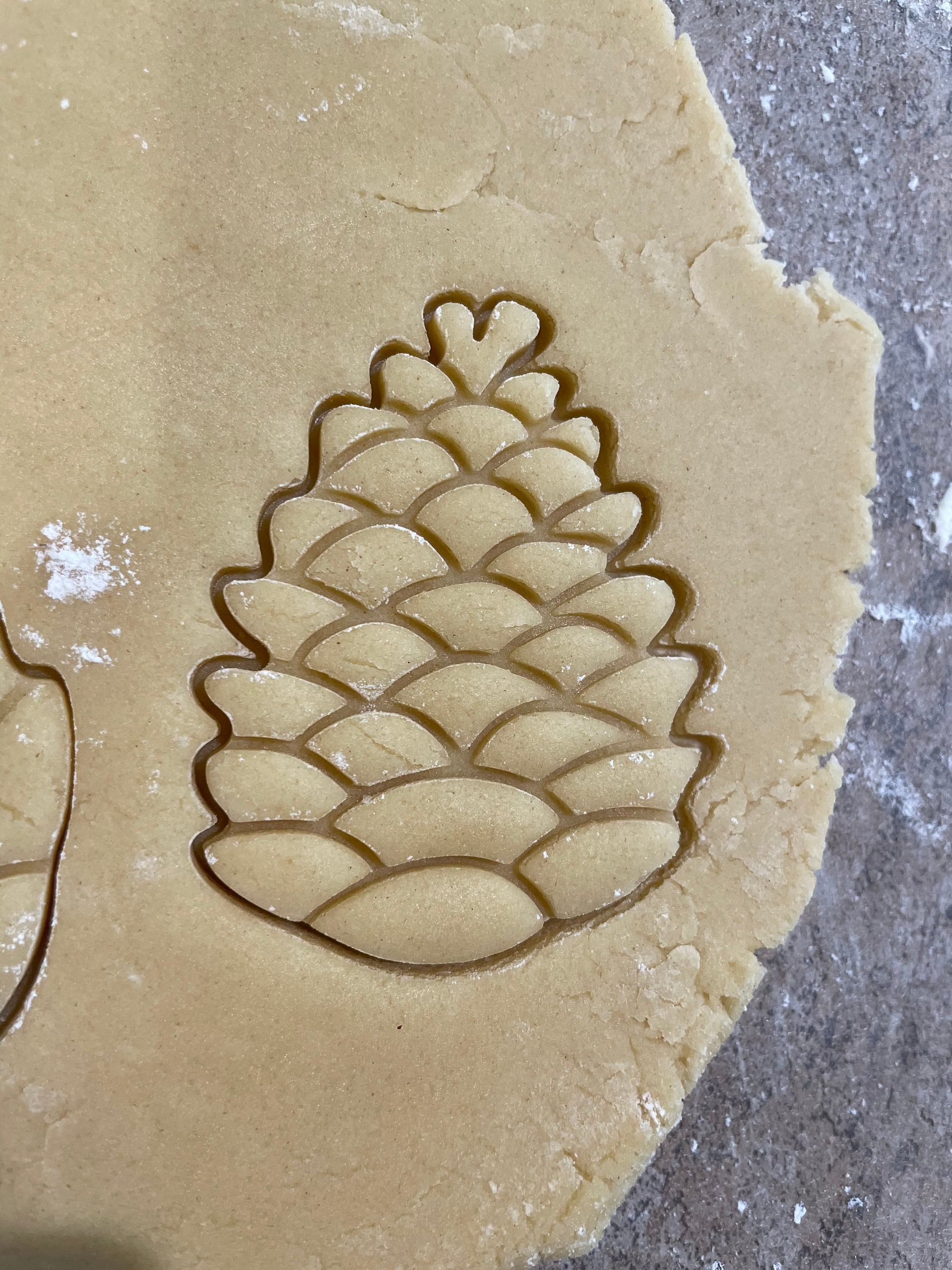 Pine cone biscuit/cookie cutter nature animal | Etsy