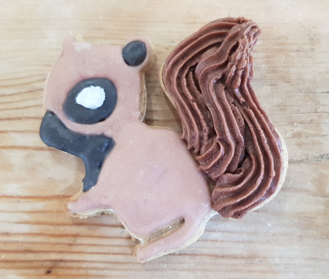 Cute Squirrel biscuit cookie fondant cutter Etsy