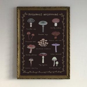 Poisonous mushrooms | Botanical chart | Poster