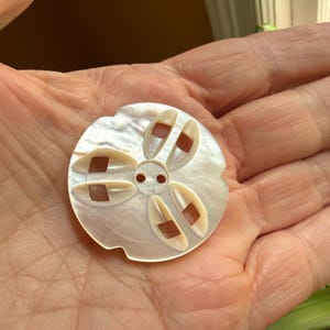 Puede incluir: Un botón circular de nácar con un diseño de dólar de arena, cinco recortes en forma de pétalo y dos orificios centrales para su fijación. El botón tiene un acabado iridiscente de color blanco roto con una superficie lisa y pulida.