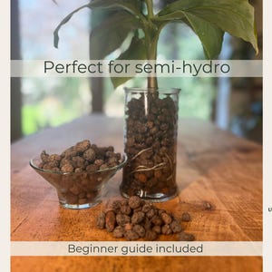 May include: A clear glass cylinder filled with brown clay pebbles and a green plant, a small glass bowl containing more clay pebbles, and a pile of loose clay pebbles. Text reads: Perfect for semi-hydro and Beginner guide included.
