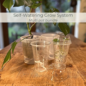 May include: Clear plastic self-watering grow system with multiple pots. The pots are filled with soil and plants. The text "Self-Watering Grow System Multi pot bundle" is displayed on the image. The image is on a wooden surface.