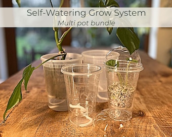 Self Watering Pot Bundle | Semi Hydro Grow System with Humidity Dome | Clear Wick Planters | Alocasia & Indoor Plant Pots Set