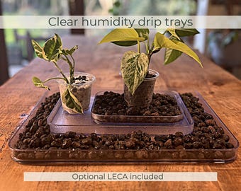 Clear Humidity Tray for Indoor Plants | Pebble Drip Tray | Houseplant Microclimate Tray | Rare Plant & Semi Hydro Setup | Optional LECA
