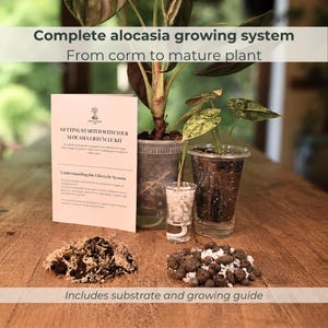 May include: A complete Alocasia growing system kit featuring a printed guide titled Getting Started With Your Alocasia Lifecycle Kit, two clear plastic pots with plants, a small glass with perlite, and piles of substrate and clay pebbles.