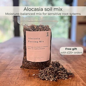 May include: A transparent bag of Alocasia potting mix, with a small heap of the mix in front. The bag has a pink label with text that reads "Alocasia Potting Mix" and "Drainage and moisture-retention blend for healthy alocasias".