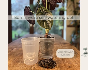 Semi Hydro Self Watering Pot | Clear Wick Planter for LECA & Rare Plants | Transparent Indoor Grow Pot | Cabinet Plant System