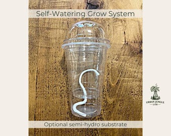 Alocasia Self Watering Pot | Semi Hydro Propagation Cup with Humidity Dome | Wick Watering Planter | Alocasia Starter Pot | Rare Plant Cup