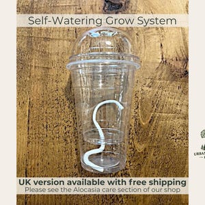 Maceta de autorriego para Alocasia / Copa de propagación semi-hidropónica con cúpula de humedad / Maceta con riego por mecha / Maceta para Alocasia / Opción de mejora para Reino Unido disponible