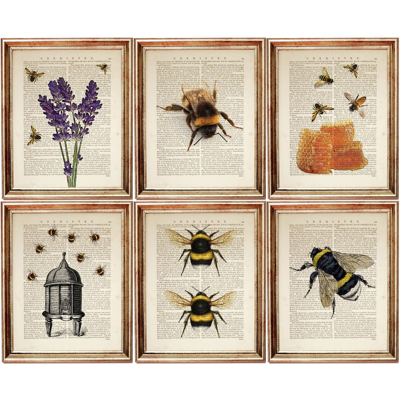 Set Of 6 Prints Bee Wall Decor Bumblebee Art Print Bumble Etsy