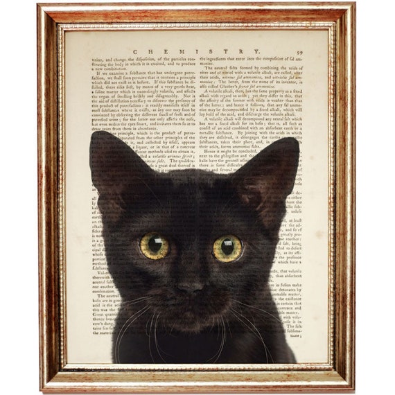 Black Cat Art Print Cat Dictionary Art Print Black Cat Etsy