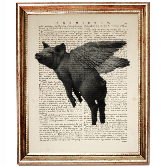 Pig themed christmas gifts Pig themed christmas gifts