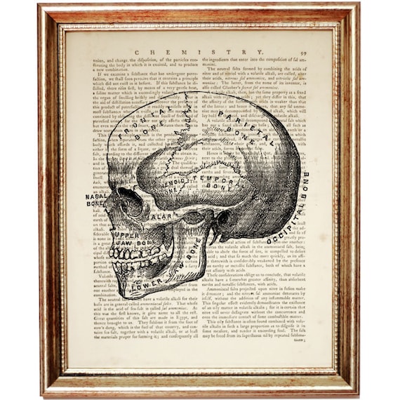 Skull And Cross Bones Print Vintage Dictionary Page Wall Art Picture Skeleton