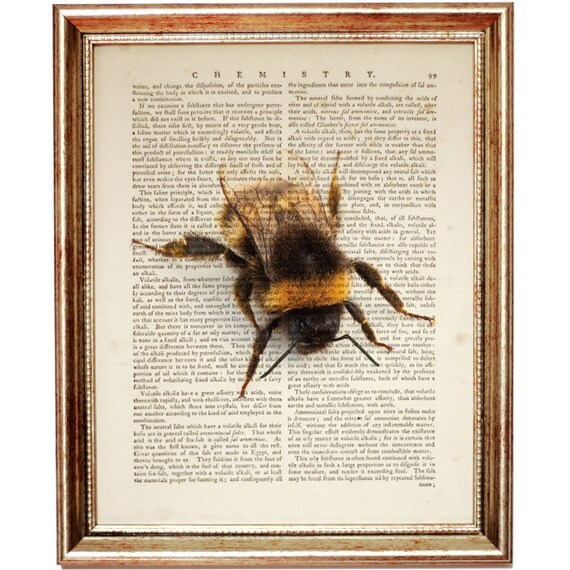 bee nursery decor